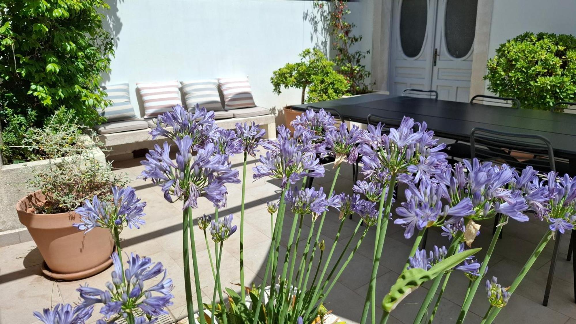 Villa Mira With A Heated Pool And A Sea View Božava Buitenkant foto